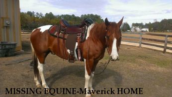 MISSING EQUINE-Maverick HOME& SAFE 10/21/18 Near Crocker, MO, 65452